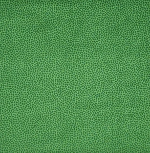 Green Blender Fabric PATRICK LOSE Quilters Cotton BY THE YARD BTY - Picture 1 of 2