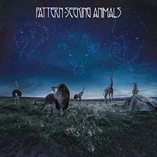 Pattern-Seeking Animals (Special Edition CD Digipak) ... | CD | Zustand sehr gut - Bild 1 von 2