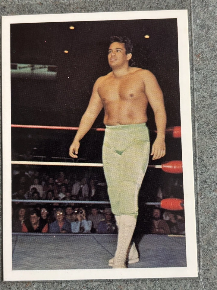 1988 NWA Wonderama RICKY SANTANA #62 SET BREAK - Image 1 of 1