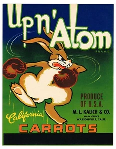 ORIGINAL CRATE LABEL UP N ATOM BOXING BUNNY RABBIT WATSONVILLE VINTAGE 1950S - Picture 1 of 1