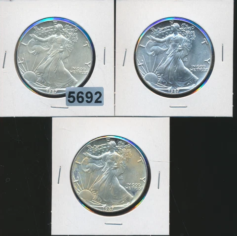 U.S. SILVER 1 OZ. EAGLE - 1987 ERRORS - (3) CRACKED SHIELD - FILLED DIE - #5692 Cover