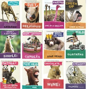 72 Funny Animals Birthday Greeting cards & Envelopes for Men & Women - Picture 1 of 15