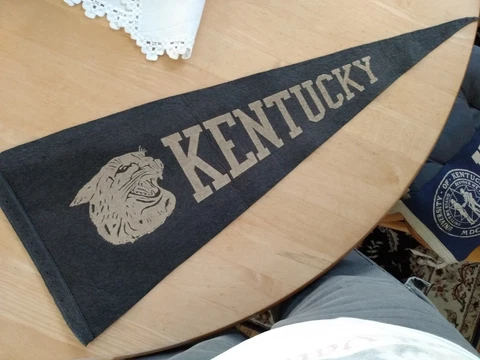 Kentucky Wildcats Pennant, 11 x 28.5" Cover