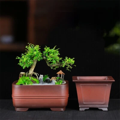 10in Chinese Zisha Handmate Drum Nail Round Potted Plant Bonsai Clay Flower Pot - Image 1 of 4