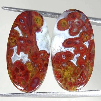 27.00Cts Natural Red Palm Root Agate Oval Pair Cabochon Loose Gemstone 13x25x4mm - Image 1 of 4