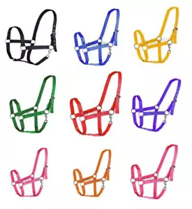 Horse Halter Nylon Full Size Adjustable Tack Shows Equestrian New - Picture 1 of 17