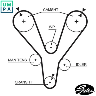 TIMING BELT 1555RM FOR HYUNDAI SONATA/IV TUCSON COUPE/II SANTA/FÉ TIBURON XG XG - Image 1 of 4
