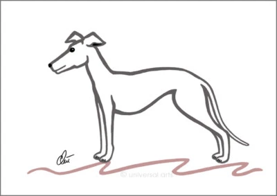 JACQUELINE DITT - Whippet - outl.A3 sign.ltd.Original Grafik Hunde Windhund - Bild 1 von 2
