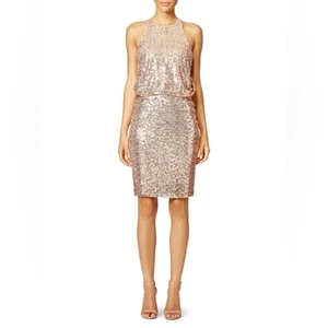 BADGLEY MISCHKA Blouson Sequin Pencil Dress embellished size 6 cocktail event - Picture 1 of 15