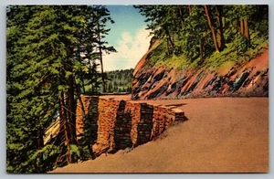 Postkarte Skyline Drive Dirt Roadway Kurve Great Smoky Mountains Nationalpark - Bild 1 von 2