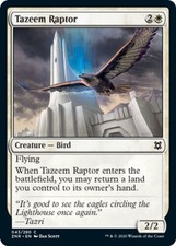 x4 Tazeem Raptor Zendikar Rising Near Mint, English - MTG