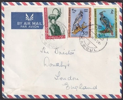 英国封面阿富汗鸟 — 第 1/2 张图片