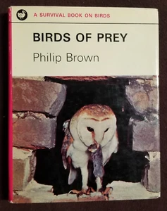 Birds of Prey by Philip Brown - 1964 Hardcover  Andre Deutsche; First Edition - Picture 1 of 9