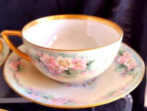 VINTAGE GOLD TRIM FLOWERS HAND PAINTED TEA CUP SAUCER SET ROSENTHAL SELB BAVARIA - Picture 1 of 12