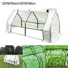 Sturdy PVC Cover Tunnel Greenhouse for Protection Against Harsh Weather