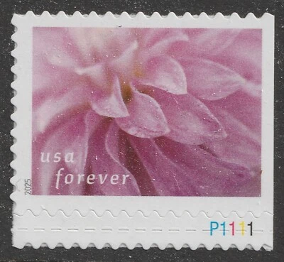 US 5997 Dahlias #6 F plate single MNH 2025 - Image 1 of 3