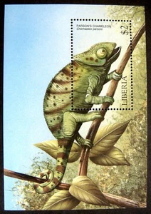 LIBERIA REPTILE STAMPS SOUVENIR SHEET 1999 MNH PARSON'S CHAMELEON LIZARD - Picture 1 of 1