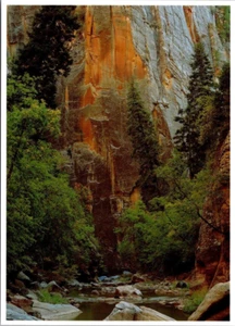 Postcard Zion National Park Narrows Deep Creek UT Utah 6x4 Photo Gary Ladd 1993 - Picture 1 of 2