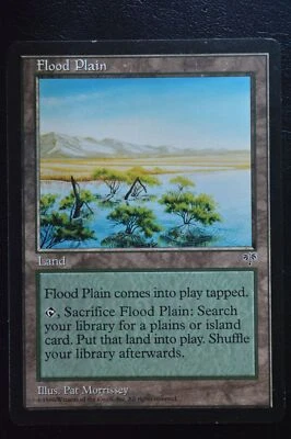 Magic The Gathering MTG FLOOD PLAIN Mirage LP Lightly Played - Image 1 of 2