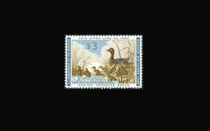 USA Federal Duck Stamp-Mint OG&NH, Super b S#RW27 Post office fresh Gem - Picture 1 of 1