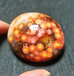 TOP 142g Natural Banded Agate Gobi Agate Eye Agate Stone Crystal  BY1710 - Picture 1 of 15