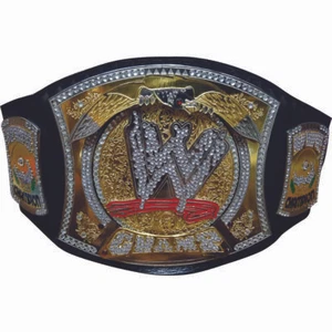 WWE World Heavyweight Championship Spinner Title Belt Replica Brass Plate 4mm - Picture 1 of 7