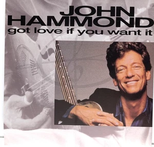 JOHN HAMMOND GOT LOVE IF YOU WANT IT Album Cover Promo 12x12 Flat Poster - Picture 1 of 3