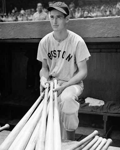 TED WILLIAMS Glossy 16x20 Photo Baseball Print Boston Red Sox Poster Cover