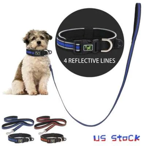 Haustierhalsband und Leine Set, verstellbares Nylonhalsband mit Leine für Hund Welpe Katze LAVA - Bild 1 von 14