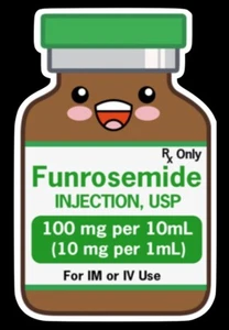 Pegatina Funrosemida 4" Linda Enfermera Médica Kawaii Dr Pegatinas Furosemida Lasix - Imagen 1 de 1