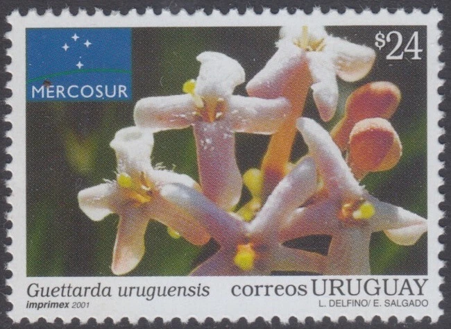 URUGUAY Sc # 1941 CPL MNH SINGLE -  LARGE SHRUB (FLOWER) NATIVE to URUGUAY - Image 1 of 1