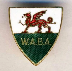 old WELSH BOXING Association PIN Badge WALES Box Boxe  - Picture 1 of 2