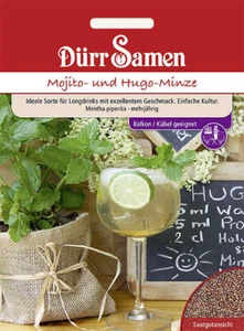 Mojito- und Hugo-Minze Samen von Dürr Samen ca 50 Korn - Bild 1 von 1