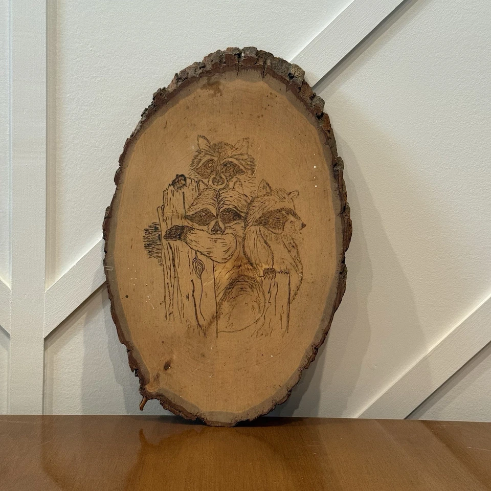 Placa colgante de pared artesanal de madera mapache decoración camping Foto 1 de 4