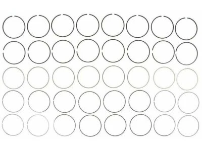 Chasis personalizado Workhorse 2006-2012 W42 anillo de pistón Hastings 61326RNCV 2007 Foto 1 de 2