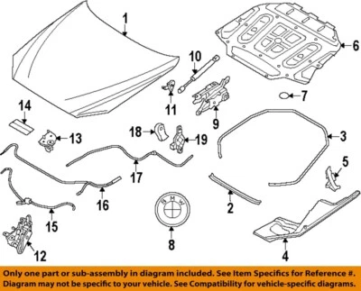 Used Hood fits: 2013 Bmw 650I  Grade A - Image 1 of 4