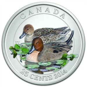 🇨🇦 Canada 25 cents quarter coin, Duck of Canada - Pintail, UNC, 2014 - Picture 1 of 3