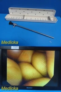 Smith & Nephew 7208130 DYONICS 10mm x 0° Rigid Laparoscope W/ Case TESTED~ 32550 - Picture 1 of 21