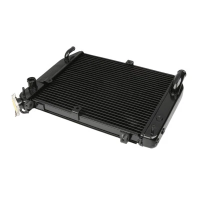 Refrigerador de radiador compatível com Yamaha YZF R1 YZF-R1 2002-2003 5PW-12461-00-00 - Imagem 1 de 4