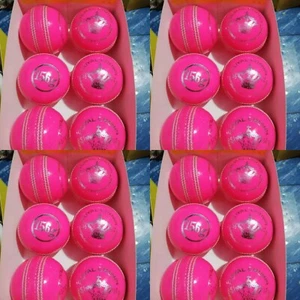 BT 24 balls Pink Cricket Ball | International Standard Genuine Leather Cricket - Bild 1 von 12