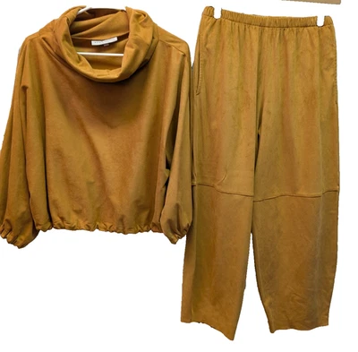 Bryn Walker Imitación Gamuza 2 Piezas Capucha Cuello Túnica Top Linterna Pantalón Lujo Lagenlook Foto 1 de 4