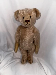 Mohair pre war 16" German white humpback Steiff Teddy Full Jointed - Picture 1 of 8