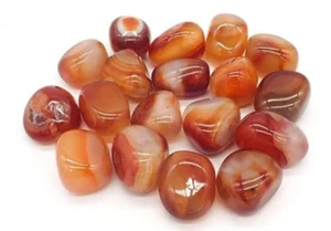 Carnelian Tumblestones Premium Crystals Root Chakra Healing x 2 Pieces 14-20mm - Picture 1 of 1