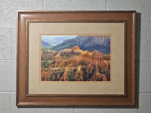 The Castle Bryce Canyon National Park  Framed 24"×30" Photo Print Signed    - Picture 1 of 11