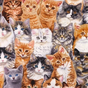 100% Cotton Fabric - Realistic Cats - Elizabeth's Studio, Animals Kittens - Picture 1 of 3