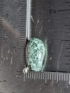 Round Isle Royale Greenstone Gemstone Michigan Pumpellyite Chlorastrolite π Gem - Picture 1 of 11