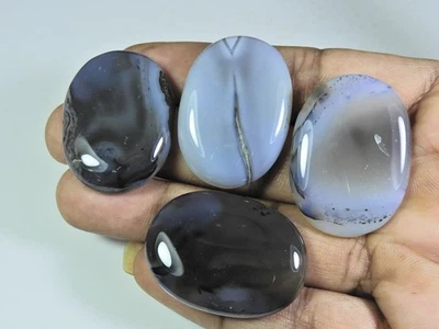 234Cts. Natural Botswana Agate Oval Cabochon Loose Gemstone 4 Pcs Lot z293 - Image 1 of 4