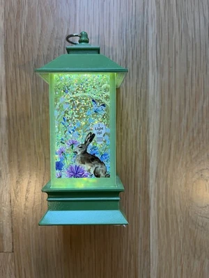 Linterna Globo de Nieve Iluminada Conejito de Pascua Funciona con Batería Foto 1 de 4