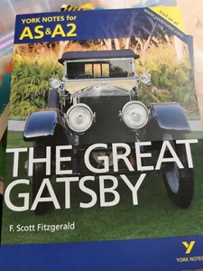 The Great Gatsby York Notes for AS & A2 - Picture 1 of 1