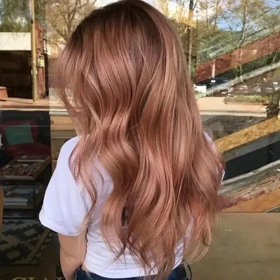 Pelucas Ombre Rosa Marrón Cuerpo Onda Raíces Oscuras 100% Cabello Humano Encaje Frontal Pelucas 22 pulgadas Foto 1 de 3
